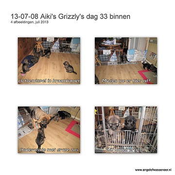 Grizzly's dag 33 bog binnen in de Engelenkraamkamer